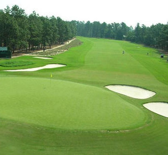 高爾夫球場綠化人造草坪