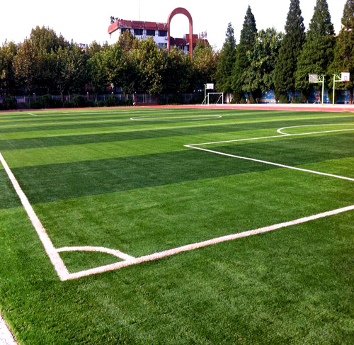 進口賽爾隆足球場人造草坪